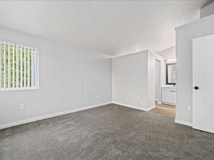 Bright and spacious room with plush carpet, modern design, and a large window offering natural light.