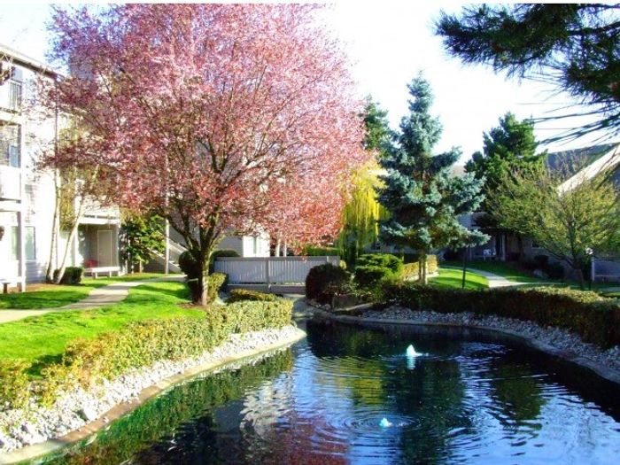 Lush landscaping and winding paths at Canyon Springs in Lynnwood, Washington