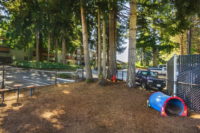 Dog park at Maplewood Park in Renton, Washington