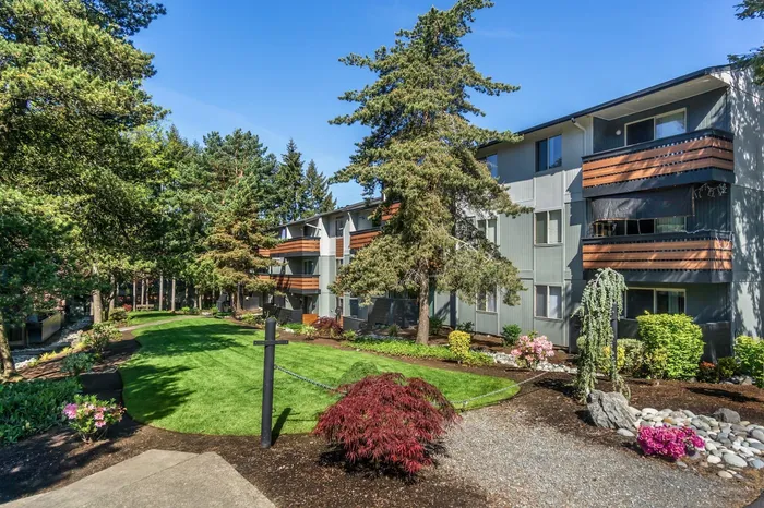 Grass Area at Maplewood Park in Renton, Washington