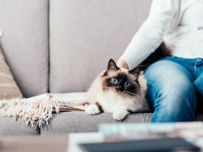 Pet-friendly Palouse Landing apartment community in Pullman, WA