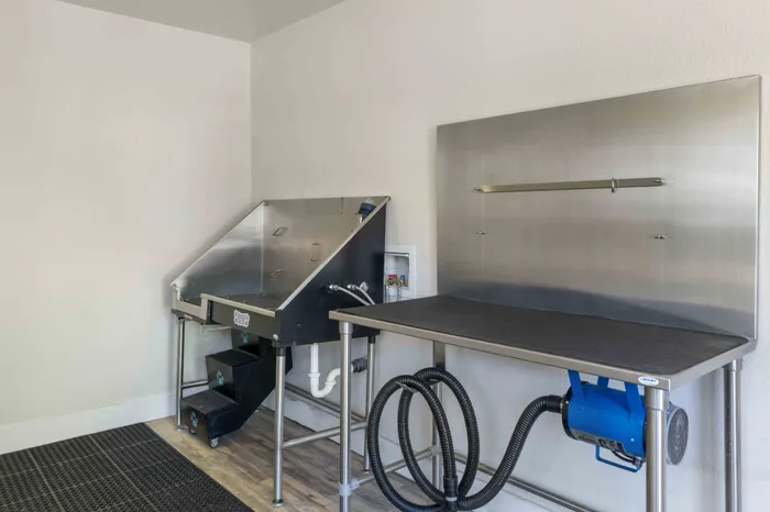 Dog Wash Station at the Phoenix Sacramento Apartment Community in Sacramento, California