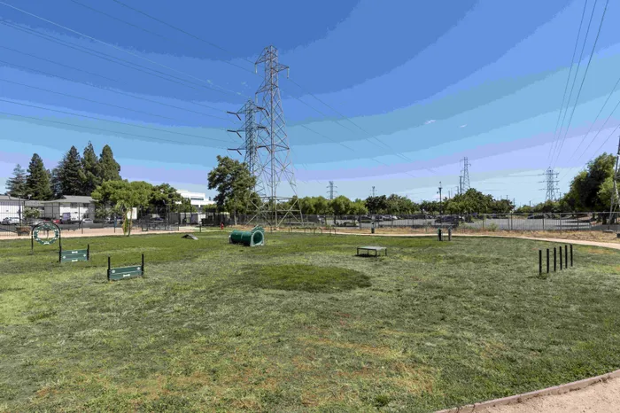 Dog Park at the Phoenix Sacramento Apartment Community in Sacramento, California