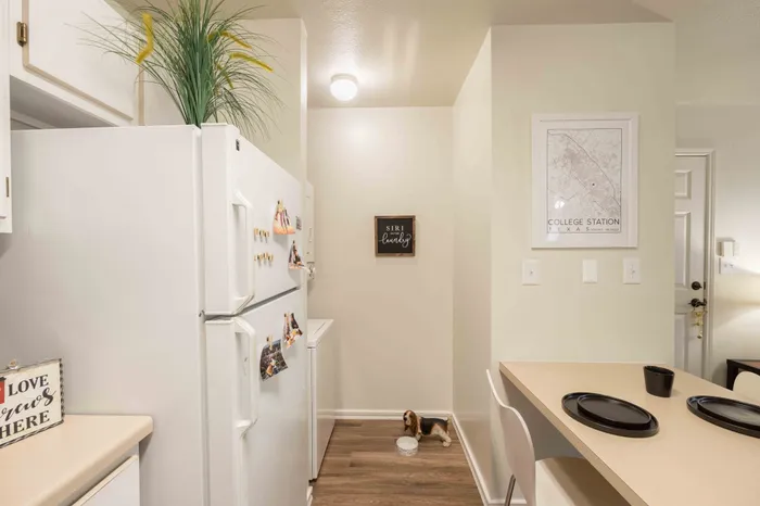 Modern kitchen with stainless appliances at The Zone student apartments near TAMU in College Station Texas