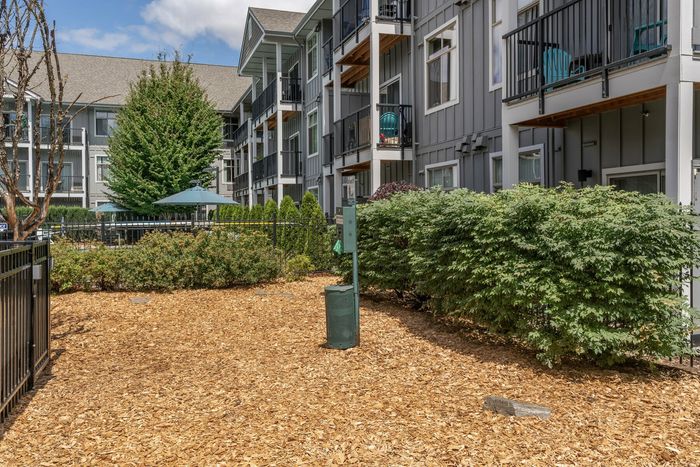Dog park at Chase Courtyard in Eugene, Oregon