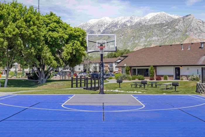 Basketball Court