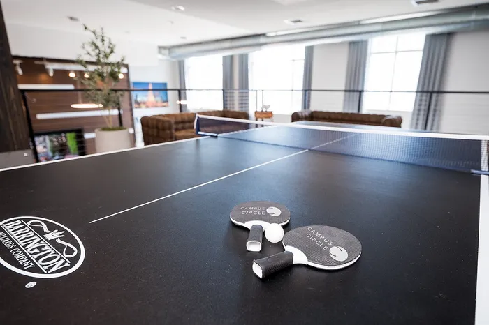 Ping Pong Table at Campus Circle in Urbana, Illinois