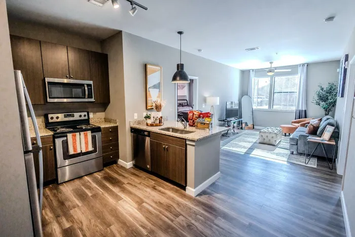 Stylish apartment with a modern open-concept kitchen flowing into a cozy and bright living room.