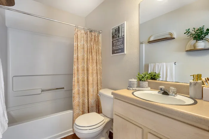 Stylish bathroom featuring a bathtub with patterned curtain, tidy sink area, and decorative shelving with plants at Village Green in Raleigh, North Carolina.