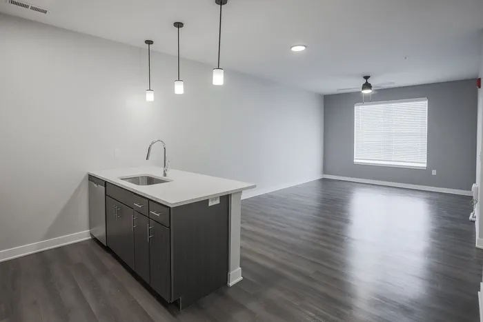 Sleek modern apartment with an open-concept kitchen featuring elegant pendant lighting and a spacious living area with hardwood floors.