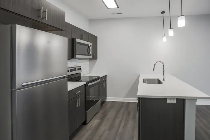 Modern kitchen with sleek stainless steel appliances, elegant dark cabinetry, and a bright, spacious countertop with pendant lighting.