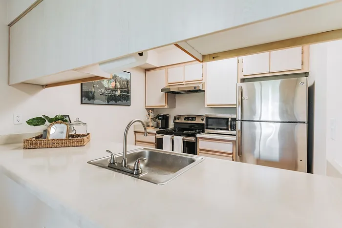 Forest Hills kitchen with sleek stainless steel appliances, light wood cabinetry, and elegant countertop. Ideal for cooking enthusiasts.