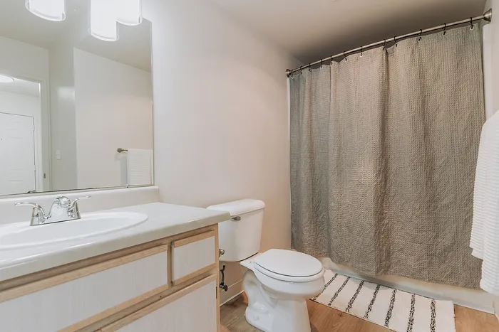 Forest Hills floorplan bathroom with elegant fixtures, cozy lighting, and a chic shower curtain for modern comfort.