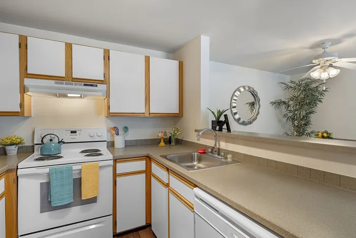 Canyon Springs renovated apartment kitchen with white cabinetry and contemporary finishes in Lynnwood WA