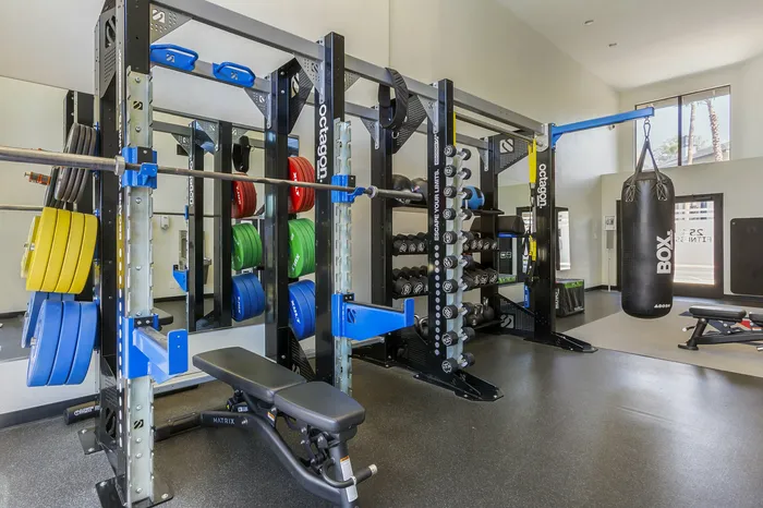 255 North fully equipped gym with punching bag and motivational mural for residents in Tucson AZ