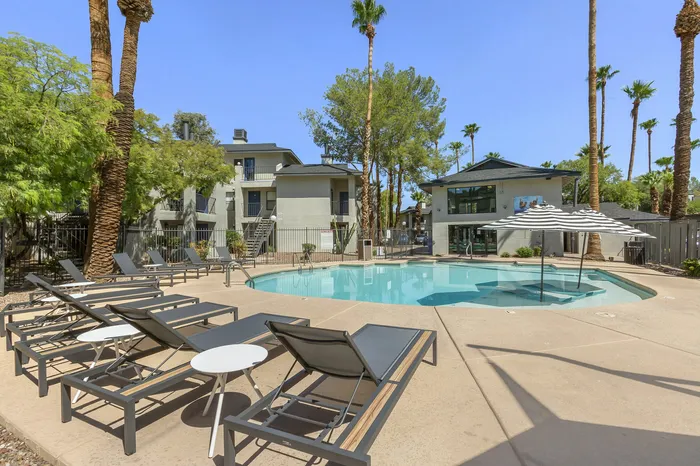 255 North resort-style pool with sparkling blue water and palm trees in Tucson AZ