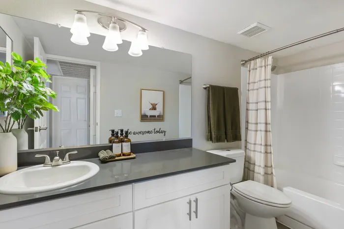 255 North renovated model bathroom with modern fixtures and upscale finishes in Tucson AZ apartment