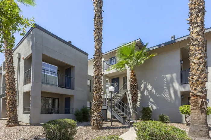 255 North apartment community building exterior view near downtown Tucson Arizona with palm tree landscaping
