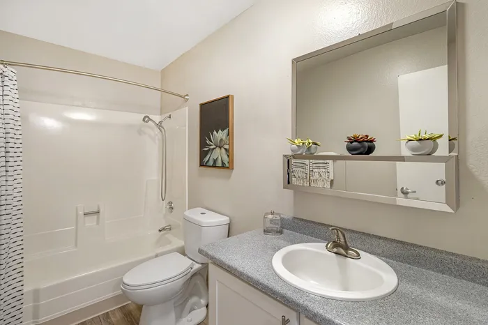 The Phoenix Reno modern bathroom with elegant fixtures, sleek countertop, and decorative plants in Reno NV