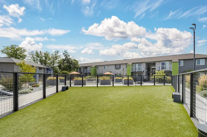 The Phoenix Reno pet-friendly dog park with lush green lawn and apartment buildings in Reno NV