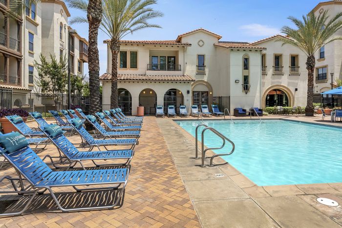 Highlander at North Campus sparkling resort-style pool surrounded by palm trees and lounge chairs in Riverside CA