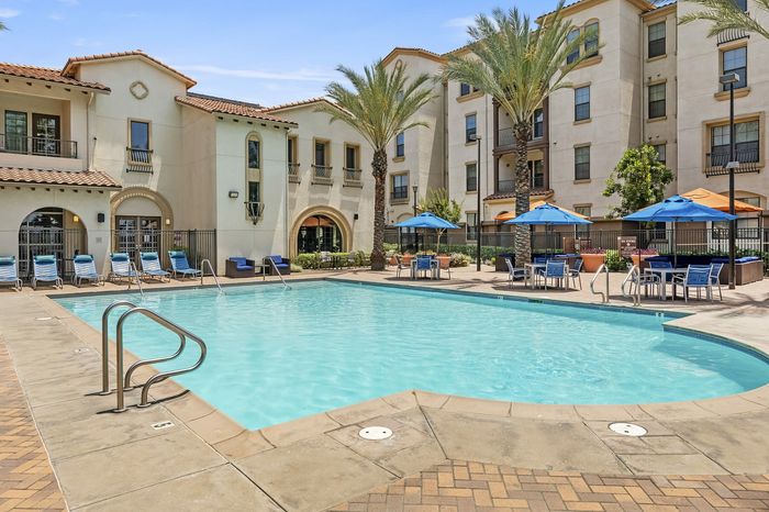 Highlander at North Campus stunning outdoor pool area surrounded by lush palm trees and stylish lounge seating in Riverside CA