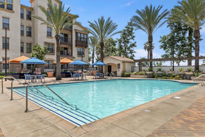 Highlander at North Campus resort-style pool with shaded lounge areas and tall palm trees near UCR in Riverside CA