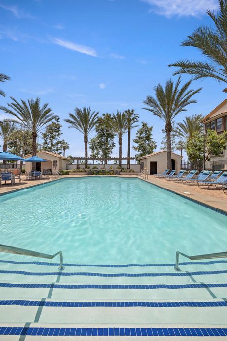 Highlander at North Campus resort-style pool surrounded by palm trees and sun loungers near UC Riverside in Riverside CA