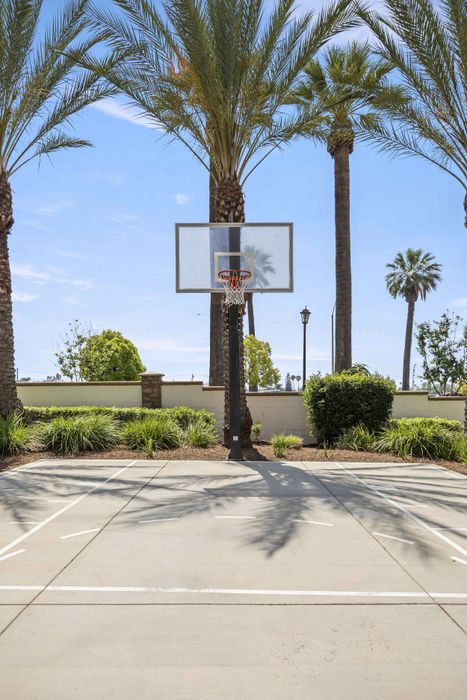 Highlander at North Campus outdoor basketball court with palm trees against a bright blue sky in Riverside CA