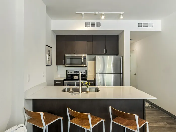 Republic on Main kitchen with sleek stainless steel appliances, elegant dark wood cabinetry, and a polished island with stylish seating in Moscow, ID