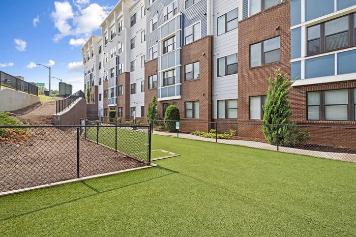 303 Flats pet-friendly dog play park where residents can exercise their dogs in Knoxville TN