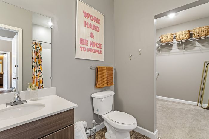 303 Flats model bathroom with walk-in closet and updated fixtures in Knoxville Tennessee apartments
