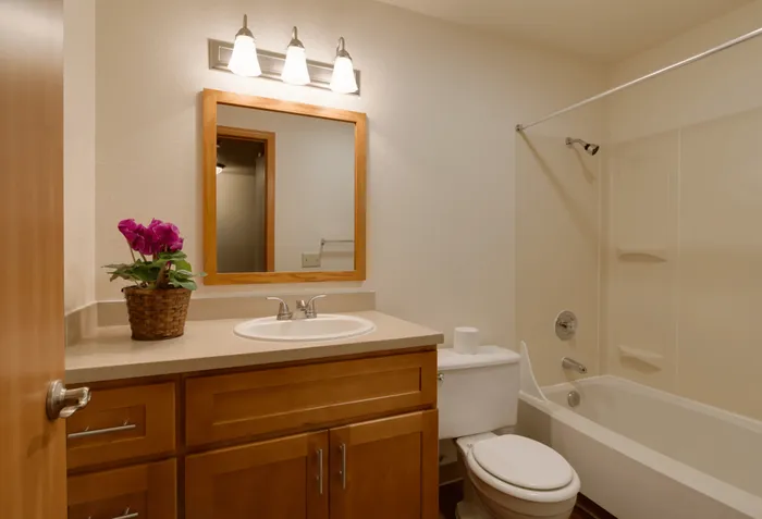 Elegant Maplewood park bathroom with warm wood cabinetry, a modern sink, and a bright vanity mirror, accented by fresh flowers.