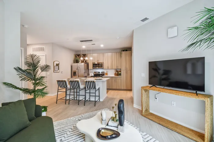 Spacious living area with upscale furnishings at Niche luxury apartments in Tampa, FL