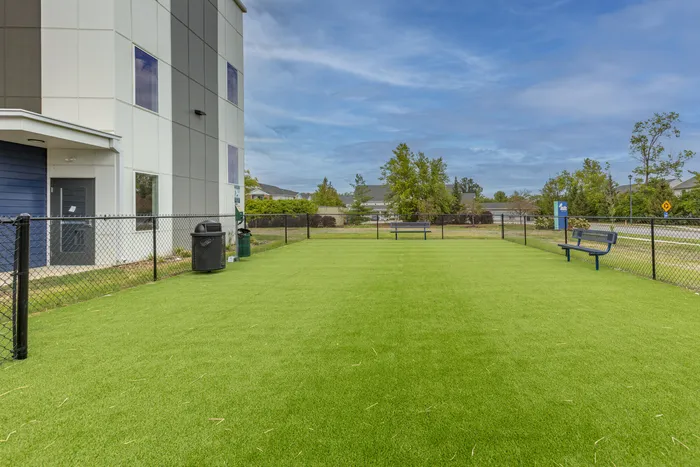 Inviting outdoor space with lush green grass, perfect for relaxation and recreation, surrounded by modern building architecture and natural scenery.