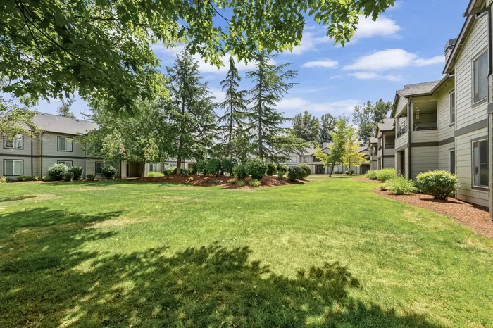 Beautiful Landscaping