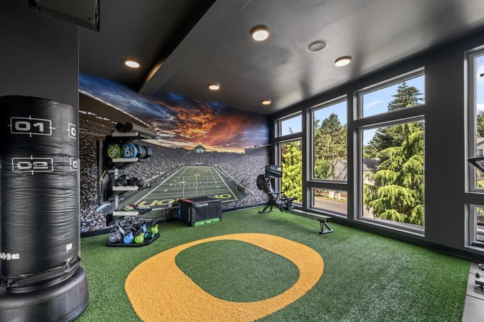 Vibrant home gym featuring a football-themed mural, lush views, and state-of-the-art fitness equipment.