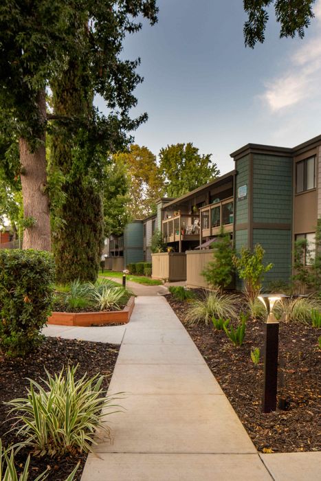 Charming apartment exterior with lush greenery and inviting walkway leading to modern balconies.