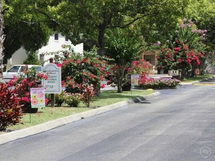 Marcell Gardens Apartments, exterior, street, landscaping, trees, cars