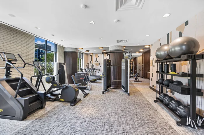 Indoor gym with weight machines, treadmills, ellipticals, stationary bikes, benches, medicine balls and large windows.
