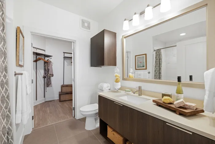 Spacious bathroom with dark wood cabinetry, large vanity with a granite countertop, and a walk-in closet.