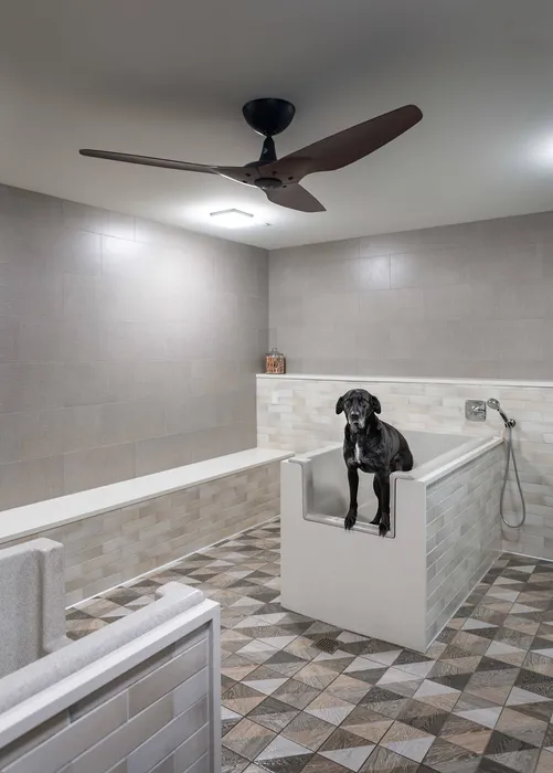 Rendering of a pet washing room with two large tubs, detachable sprayers, dryers with hoses and a hand-washing sink.