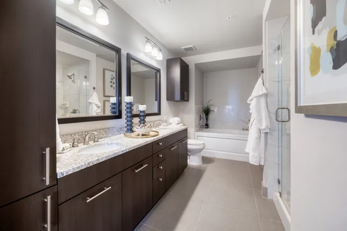 Spa-inspired bathrooms with large soaking tubs