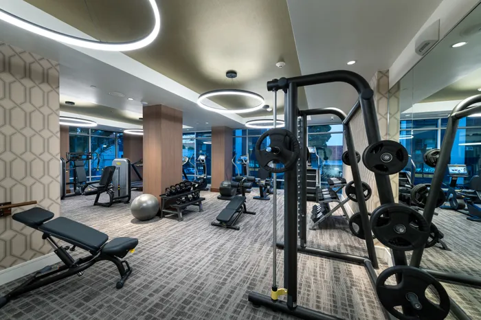 Indoor gym with squat racks, benches, kettlebells, dumbbells, weight machines, and cardio equipment. There are windows along two walls, a full wall of mirrors, and carpeted floors.