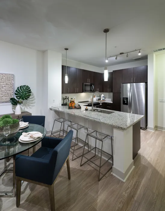 Open-concept kitchen with ash-gray wood-style floors, dark modern wood cabinets, stainless steel appliances, granite countertops with a peninsula.