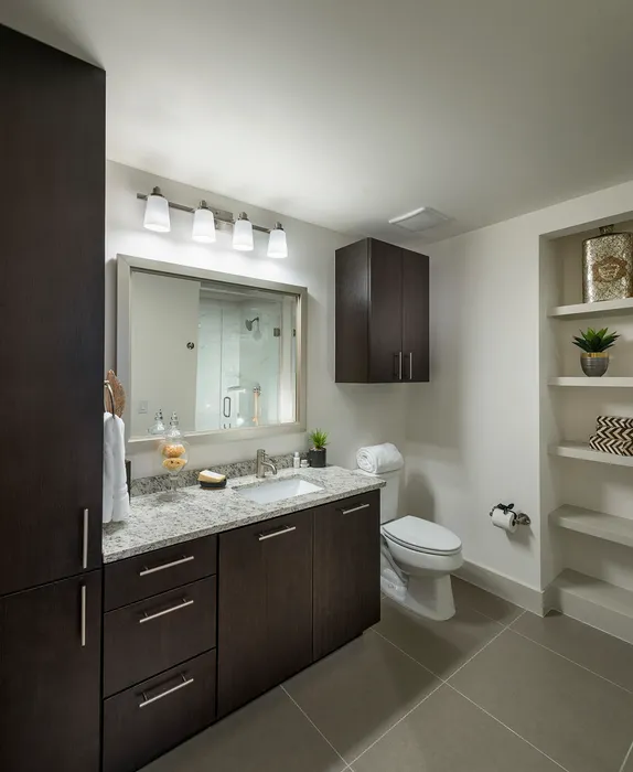 Bathroom with dark wood cabinets, a granite countertop, and open built-in shelves.