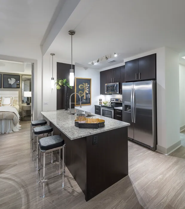 Kitchen with modern dark wood cabinets, stainless steel appliances, granite countertops, ash-gray wood-style floors, and a peninsula with three barstools and an undermount sink.