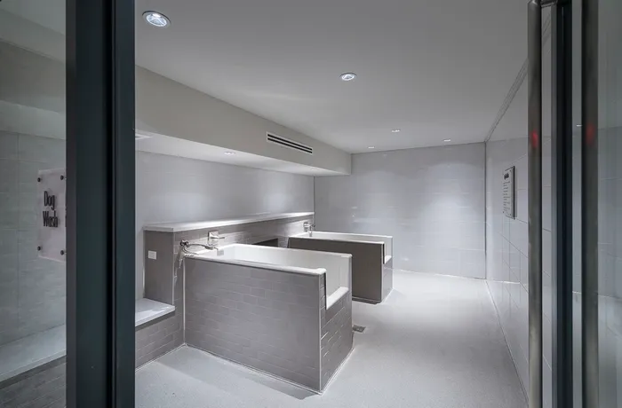 A pet bathing room with white tile walls, two large tubs, detachable sprayers, and a sign on the door reading "Dog Wash."