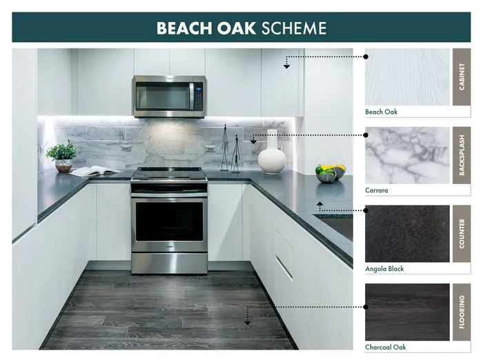 kitchen photos with dark wood flooring, white wood cabinets, black granite countertops, and marble title backsplash