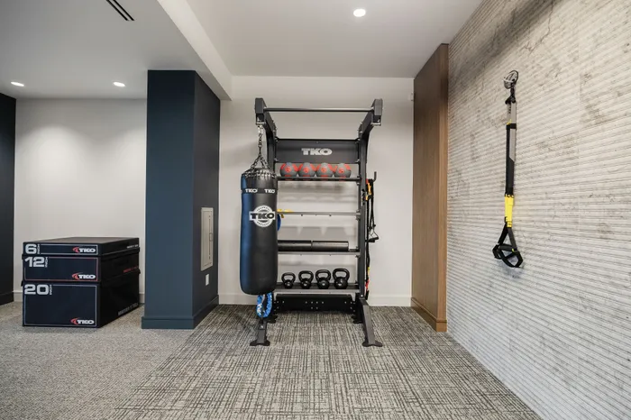 Strength training equipment in fitness center with TRX bands, boxing bag, and various hand weights